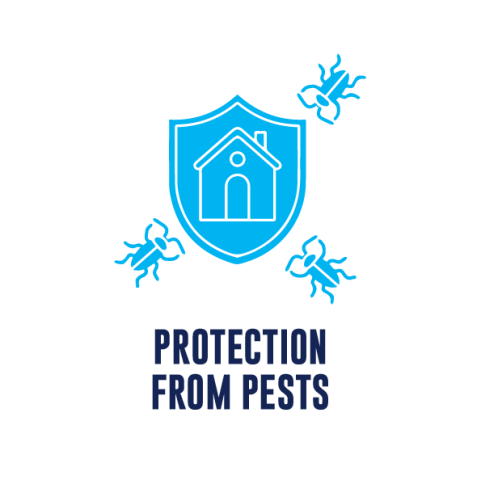 protecting from pests with professional painting